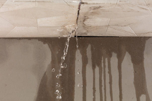 Professional Sewage Cleanup technician working in Lothian, MD